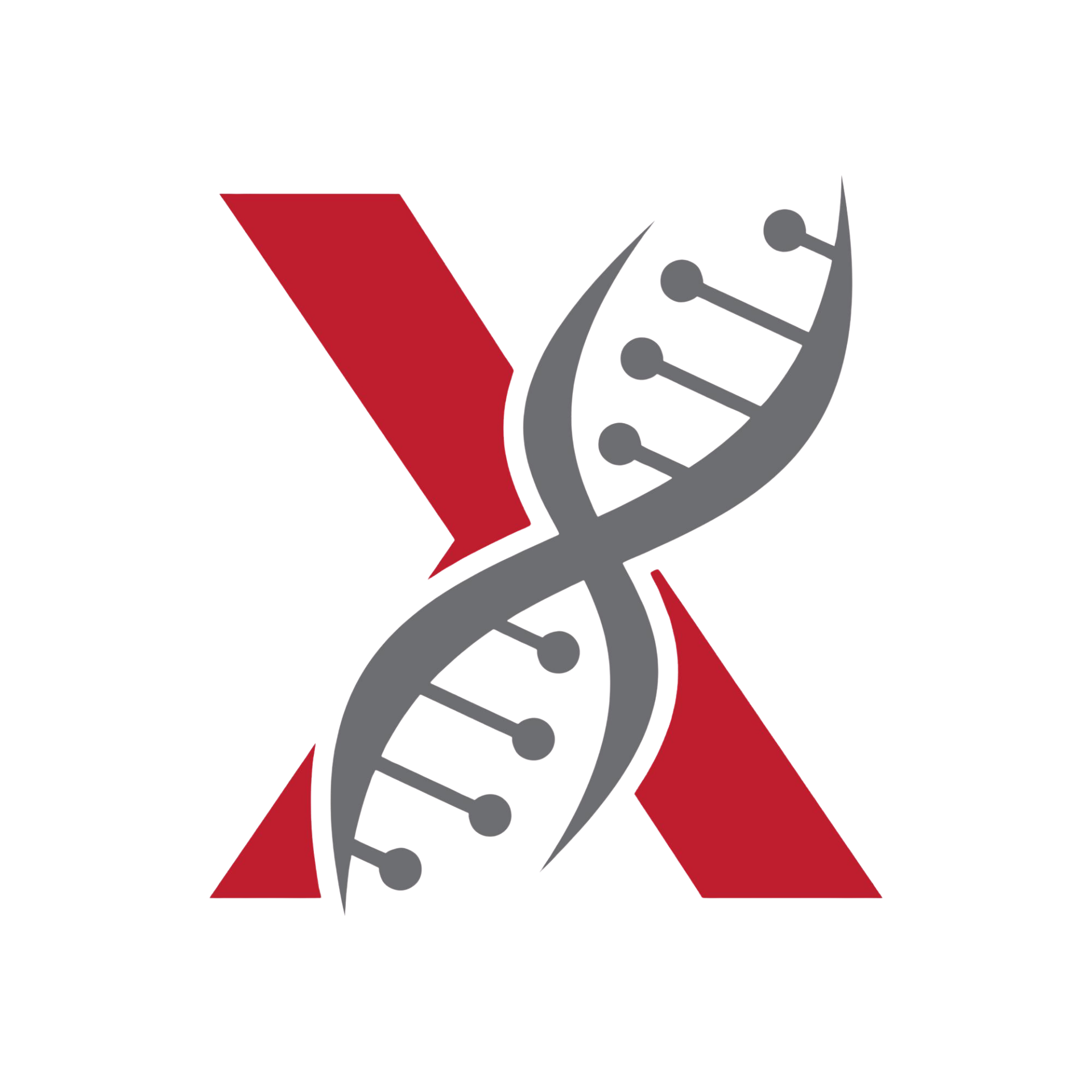 NucleosX